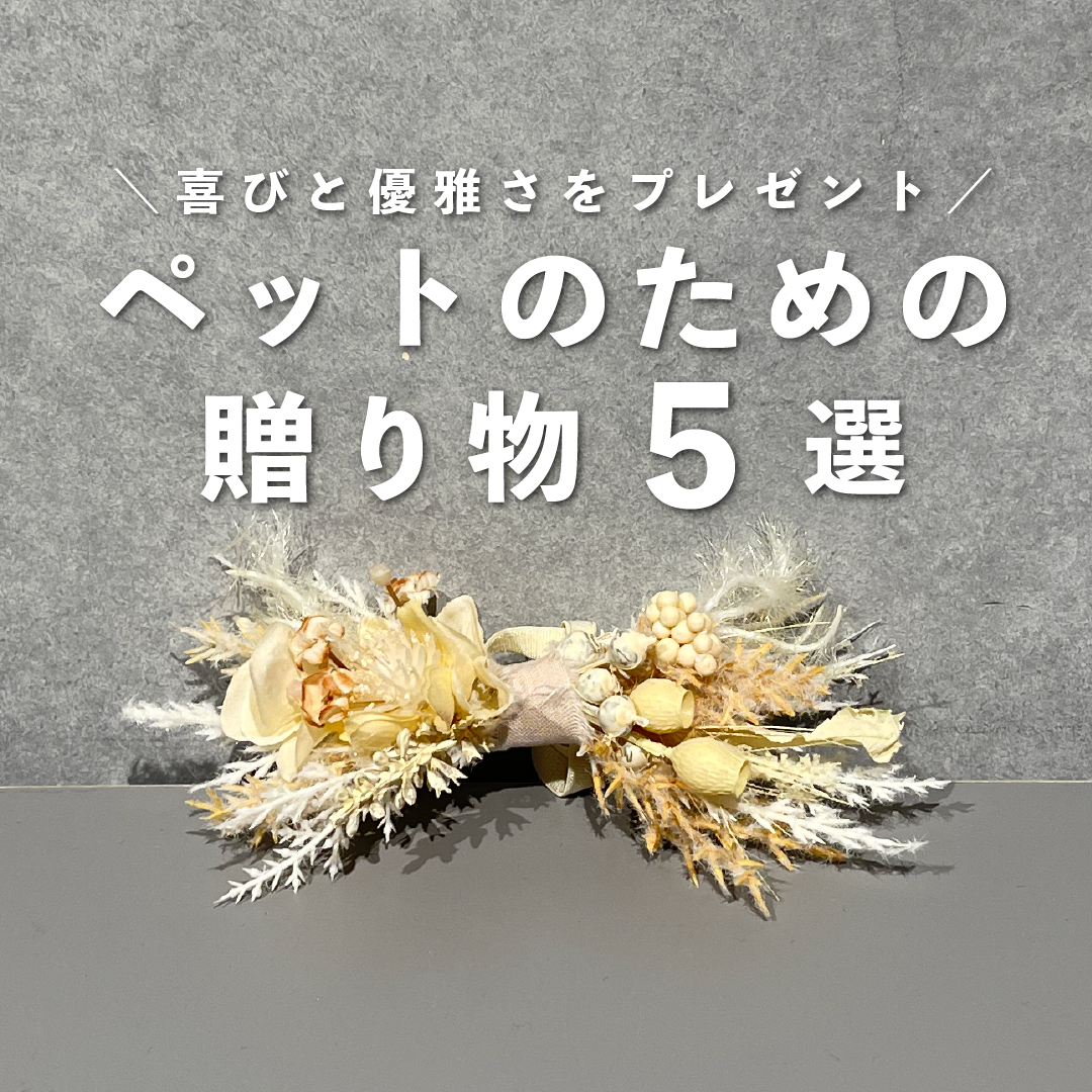 喜びと優雅さをプレゼント、ペットのための贈り物5選のサムネイル