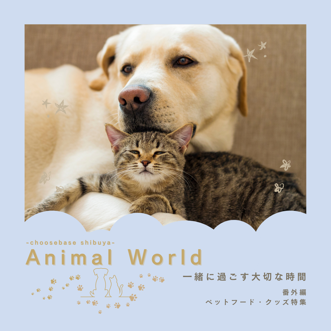 ペットの健康と幸福を考える:ペット用品・フード特集のサムネイル