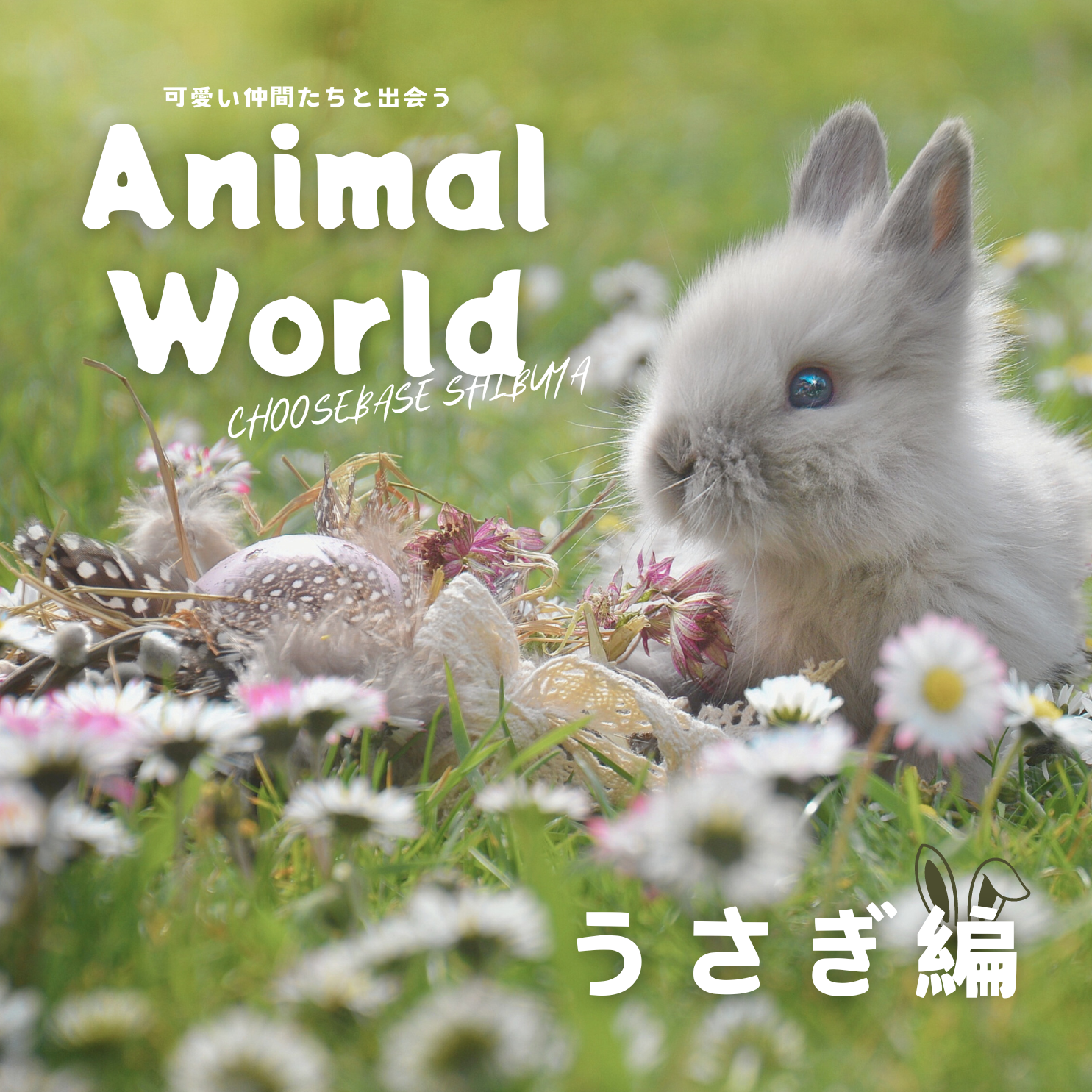 春の喜び、愛らしさと活気のある「うさぎ」アイテム!のサムネイル