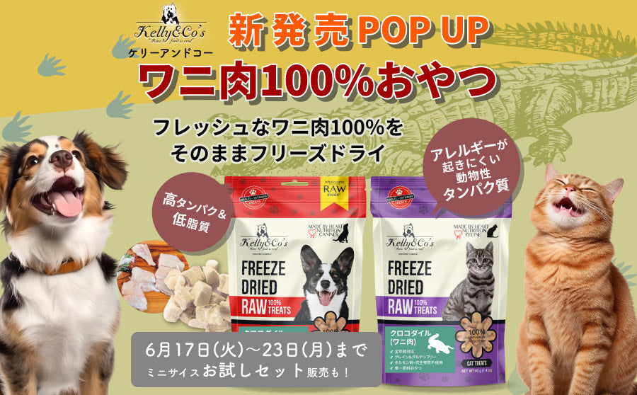 【開催終了】POP UPイベント「ワニ肉100%おやつ リリース! by Kelly&Co's」のサムネイル