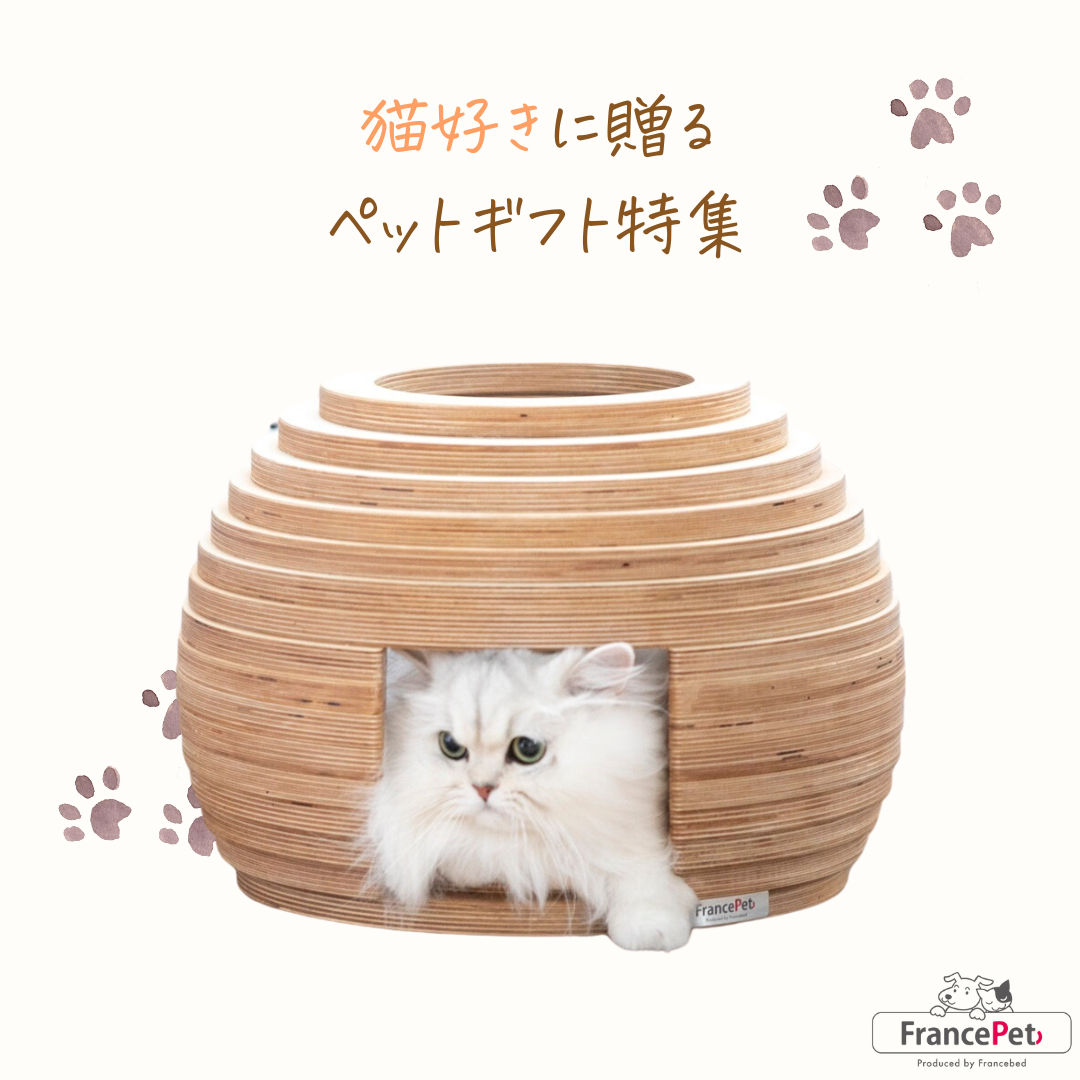 猫好きに贈りたい!ペットギフト特集のサムネイル