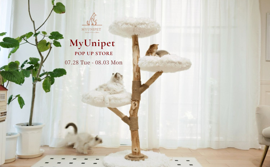 【開催終了】POP UPイベント「MyUnipet POP UP STORE ~猫との暮らしを、もっと美しく。~」のサムネイル