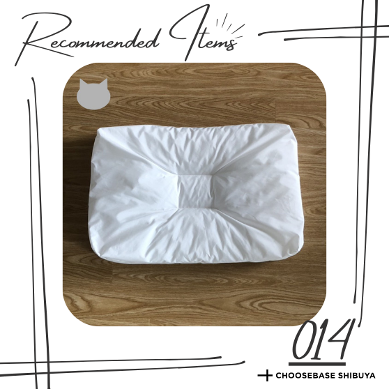 【渋谷】ねこにも枕を選ぶ権利がある。のサムネイル