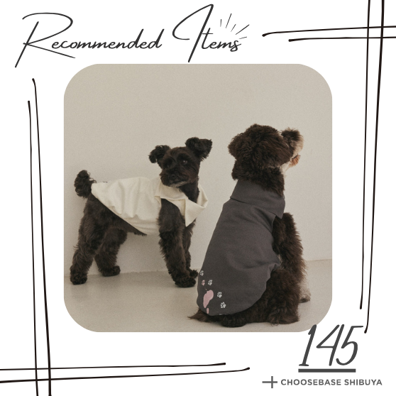 【渋谷】秋の暮らしを整える|INUS × Motoki Shiozawa 犬服 SIDE NECK PULLOVERで快適ペットライフのサムネイル