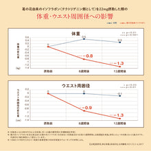 画像をギャラリービューアに読み込む, 機能性表示食品 スリーダウンルイボスティー10g×15個入り×1袋 ルイボスティー ノンカフェイン 1日1杯 濃縮 葛の花由来イソフラボン(テクトリゲニン類として)|メロディアン