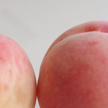 画像をギャラリービューアに読み込む, 紅緋 Benihi|KAGUWA(カグワ)