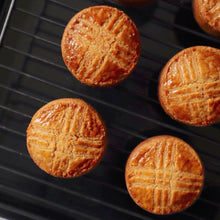 画像をギャラリービューアに読み込む, ガレット・ブルトンヌ|Dinosaur Tree(ダイナソーツリー)