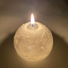 画像をギャラリービューアに読み込む, ちいさなおつきさま|とある庭から(トアルニワカラ)