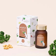 画像をギャラリービューアに読み込む, exofull FUJI|exofull(エクソフル)