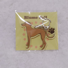 画像をギャラリービューアに読み込む, イタリアングレーハウンドアクリルキーホルダー|BlumeBell(ブルームベル)