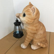 画像をギャラリービューアに読み込む, ソーラーランプを右手で持ち上げる茶トラ猫|WooBia(ウービア)