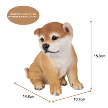 画像をギャラリービューアに読み込む, 右向きお座り秋田犬|WooBia(ウービア)