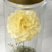 画像をギャラリービューアに読み込む, ラナンキュラスのボトルフラワー|Infini(アンフィニ)