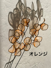 画像をギャラリービューアに読み込む, スイートピー|wire art Niko(ワイヤーアートニコ)