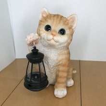 画像をギャラリービューアに読み込む, ソーラーランプを右手で持ち上げる茶トラ猫|WooBia(ウービア)