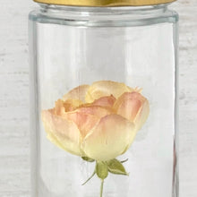 画像をギャラリービューアに読み込む, ラナンキュラスのボトルフラワー|Infini(アンフィニ)