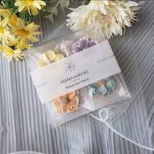 画像をギャラリービューアに読み込む, 天然色素のフラワーアイシングクッキー❀クリアーケースSサイズ(Flower)|HANASAKUKI(ハナサクキ)