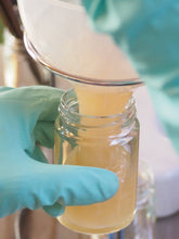 画像をギャラリービューアに読み込む, 梨ジャム|Blueberry Farm SUZUKI(ブルーベリーファームスズキ)