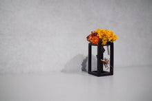 画像をギャラリービューアに読み込む, re盆栽89|TOUFU TOKYO(トウフトウキョウ)