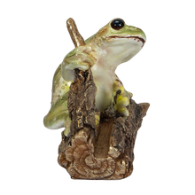 画像をギャラリービューアに読み込む, カエル名刺立て|WooBia(ウービア)