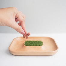 画像をギャラリービューアに読み込む, ウッドトレー オアシス|TOSMU(トスム)