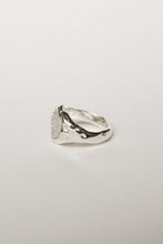 画像をギャラリービューアに読み込む, Druzy (frR-19)|Forest percent(フォレストパーセント)