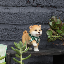 画像をギャラリービューアに読み込む, 足を上げる豆しば|WooBia(ウービア)