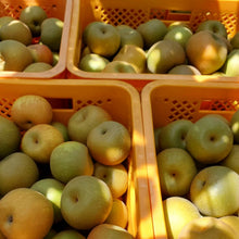 画像をギャラリービューアに読み込む, コンフィチュール「梨っ娘」|Le Café de Pomme(ルカフェドゥポム)