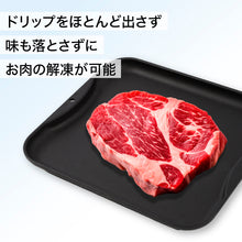 画像をギャラリービューアに読み込む, 一発解凍プレート|IWANO(イワノ)