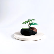 画像をギャラリービューアに読み込む, 炭団オブジェ/南国風リーフをあなたの空間に〜2|櫂の炭(カイノスミ)