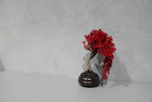 画像をギャラリービューアに読み込む, re盆栽83|TOUFU TOKYO(トウフトウキョウ)