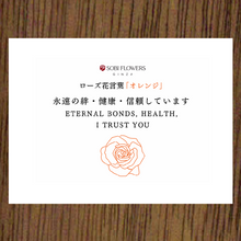 画像をギャラリービューアに読み込む, Crystal Rose ~クリスタルローズ~ ORANGE|GINZA SOBI FLOWERS(ギンザ ソビ フラワーズ)