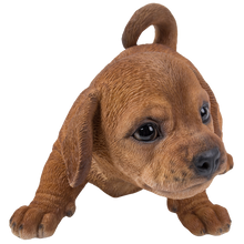 画像をギャラリービューアに読み込む, かまえるダックスフンドの子犬|WooBia(ウービア)