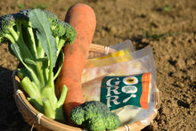 画像をギャラリービューアに読み込む, チキンクリームスープ|season soup GORORI(シーズンスープゴロリ)