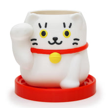 画像をギャラリービューアに読み込む, まねき猫ポット|node(ノード)