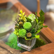 画像をギャラリービューアに読み込む, Greenland グリーンランド SS ポンポンマム|GINZA SOBI FLOWERS(ギンザ ソビ フラワーズ)