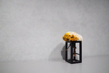 画像をギャラリービューアに読み込む, re盆栽88|TOUFU TOKYO(トウフトウキョウ)