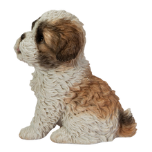 画像をギャラリービューアに読み込む, 頭を上げるシーズー|WooBia(ウービア)