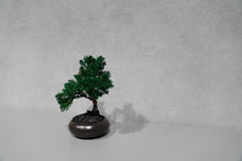 画像をギャラリービューアに読み込む, re盆栽78|TOUFU TOKYO(トウフトウキョウ)