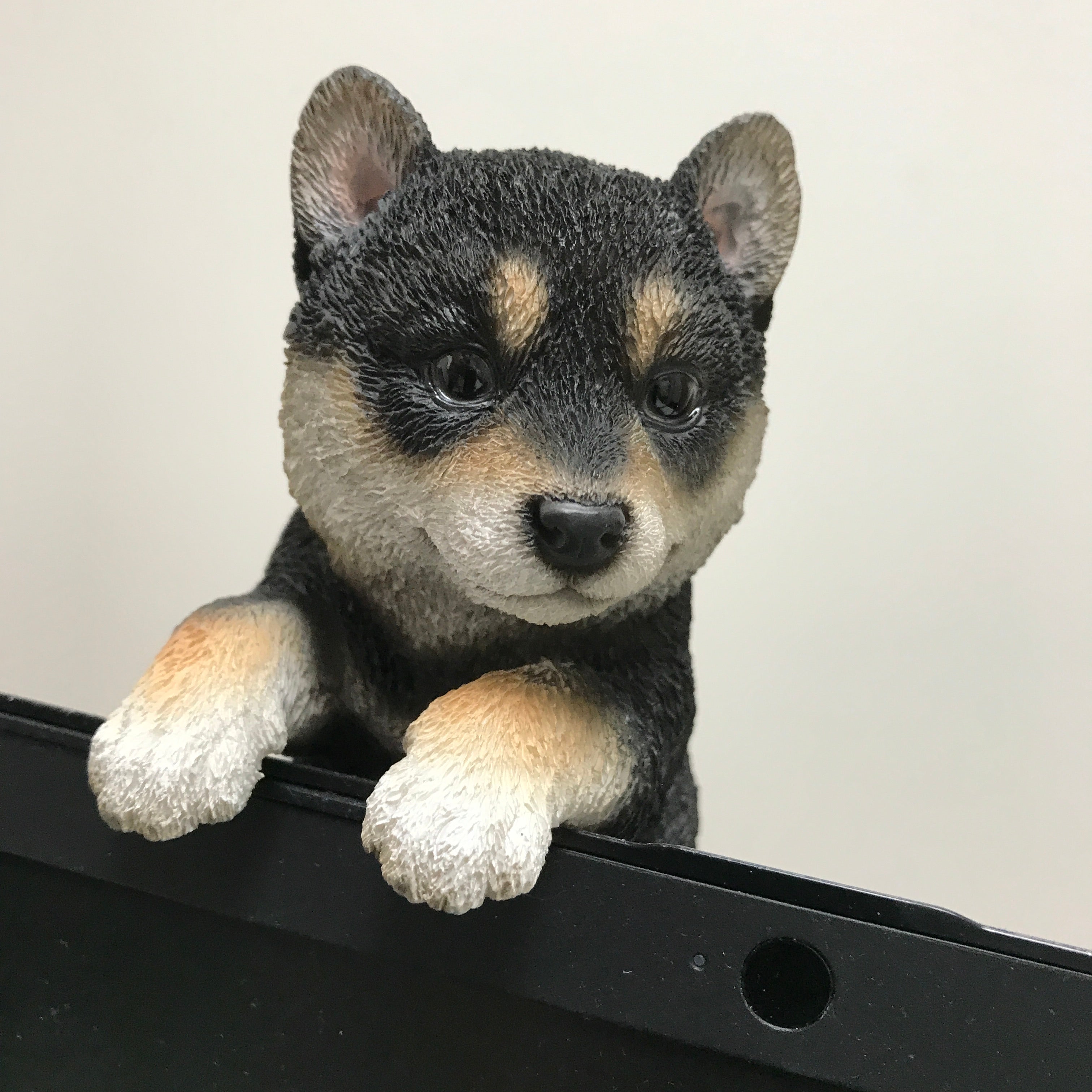 縁飾り 黒柴の子犬｜WooBia（ウービア） – CHOOSEBASE SHIBUYA