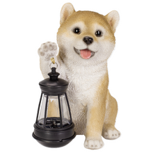 画像をギャラリービューアに読み込む, ソーラーランプを持つ柴犬|WooBia(ウービア)