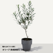 画像をギャラリービューアに読み込む, #dōzo for MOM&DAD|dōzo(ドーゾ)