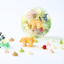 画像をギャラリービューアに読み込む, こぐまクッキーのパーティーボックス(garden)|comori(コモリ)