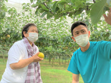 画像をギャラリービューアに読み込む, コンフィチュール「梨っ娘」|Le Café de Pomme(ルカフェドゥポム)