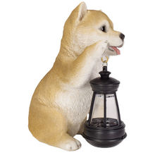 画像をギャラリービューアに読み込む, ソーラーランプを持つ柴犬|WooBia(ウービア)