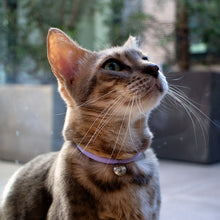 画像をギャラリービューアに読み込む, ルーチェ ベル ラタンボール |necono(ネコノ)