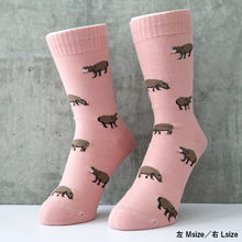 画像をギャラリービューアに読み込む, コビトカバ|ソックス・靴下|Miita(ミータ)