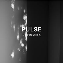 画像をギャラリービューアに読み込む, PULSE 150g|undefined_(アンディファインド)