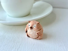 画像をギャラリービューアに読み込む, なんにもしてないけどゴキゲンなウォンバットさん|手ノヒラ堂(テノヒラドウ)