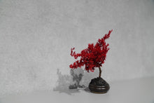 画像をギャラリービューアに読み込む, re盆栽84|TOUFU TOKYO(トウフトウキョウ)